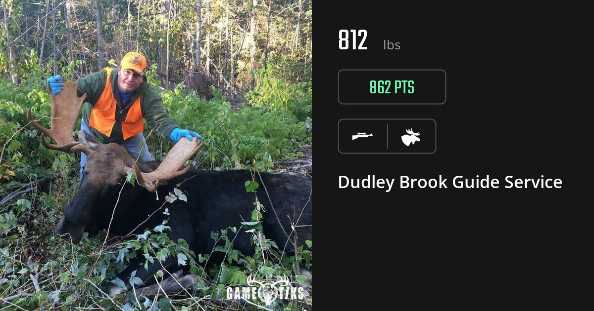 Moose harvest on Gametiks