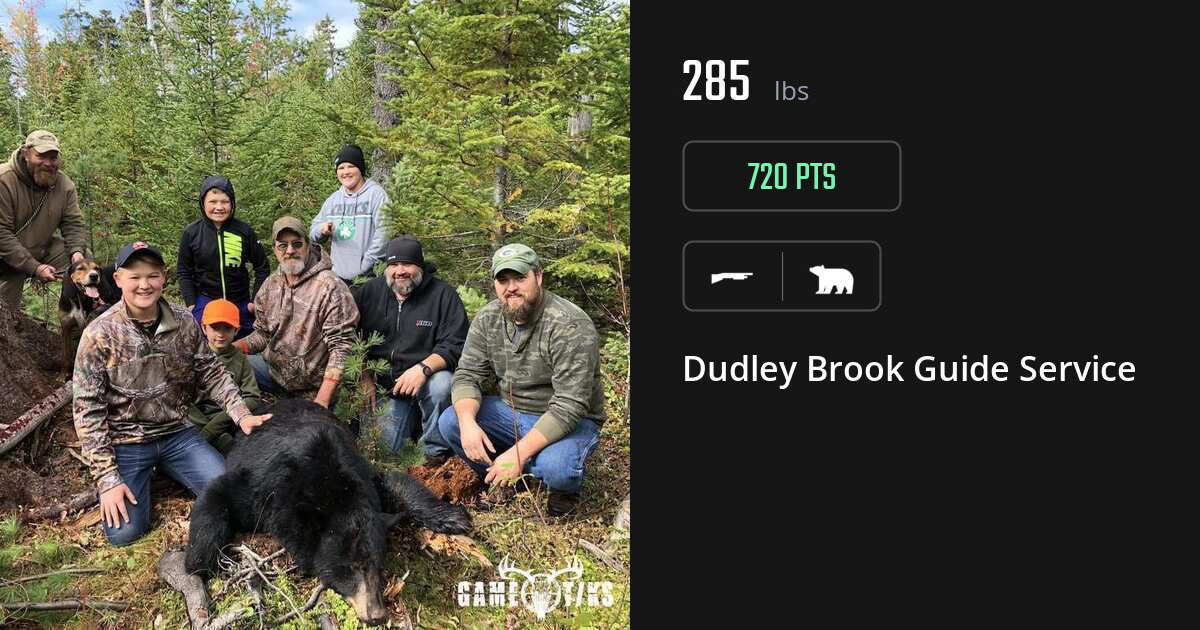 Bear harvest on Gametiks