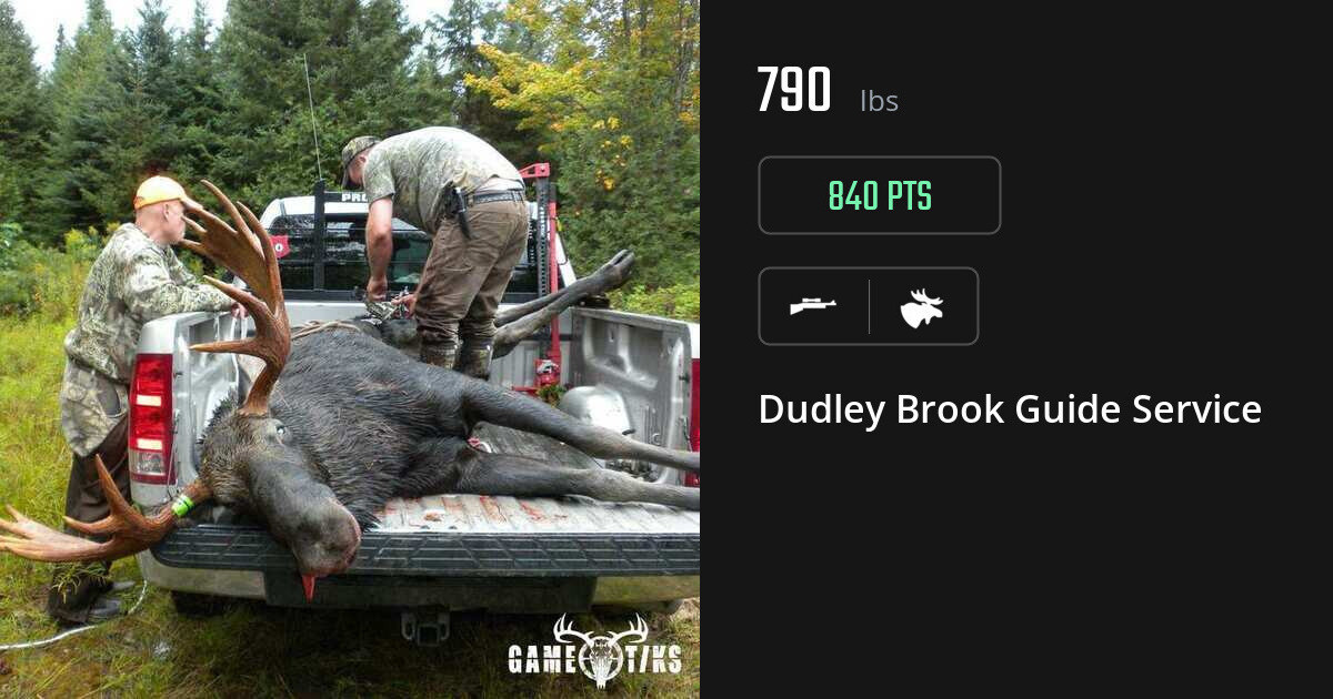 Moose harvest on Gametiks