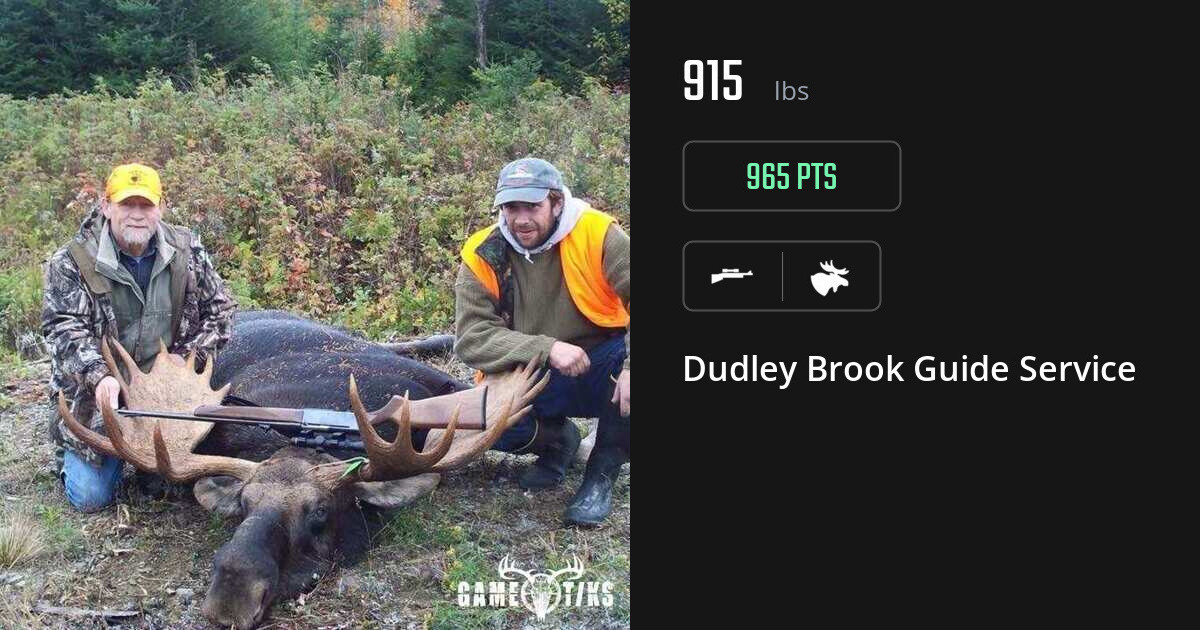 moose harvest by Dudley Brook Guide Service