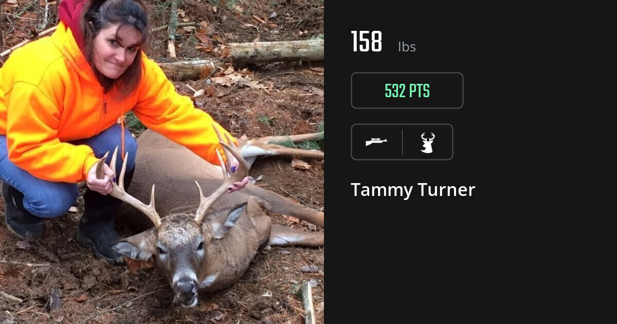 deer harvest by Tammy Turner
