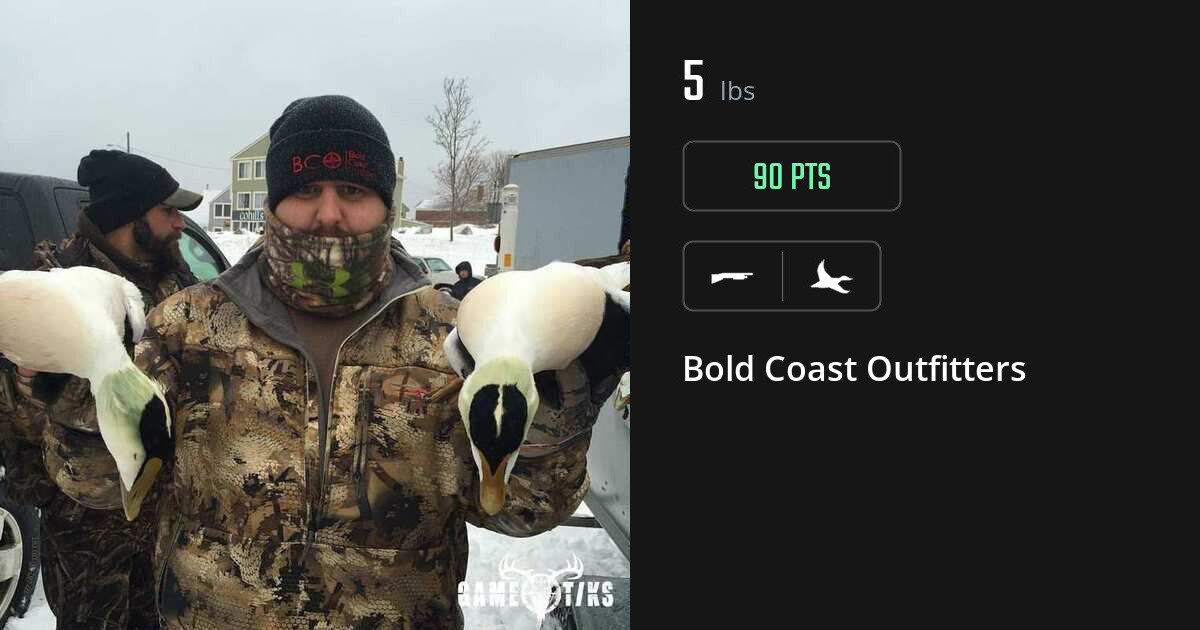 Waterfowl harvest on Gametiks