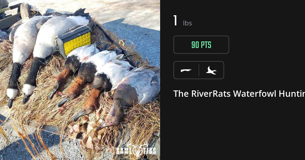 Waterfowl harvest on Gametiks