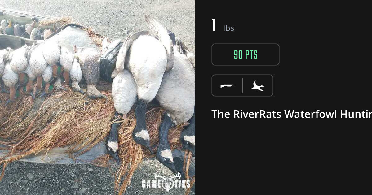 Waterfowl harvest on Gametiks
