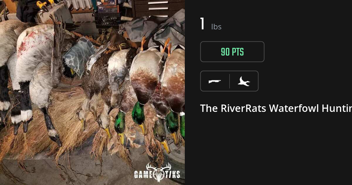 Waterfowl harvest on Gametiks