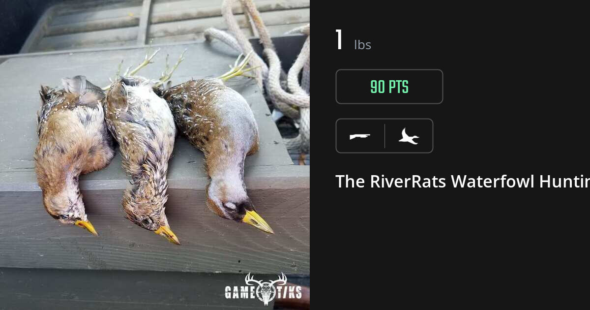 Waterfowl harvest on Gametiks