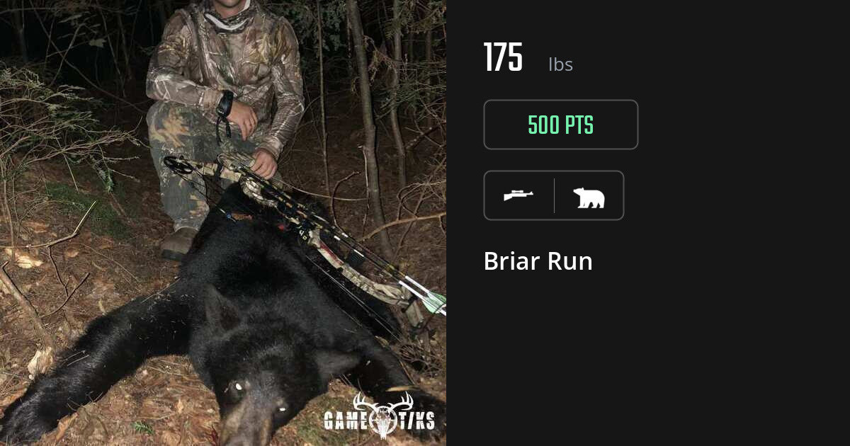 Bear harvest on Gametiks