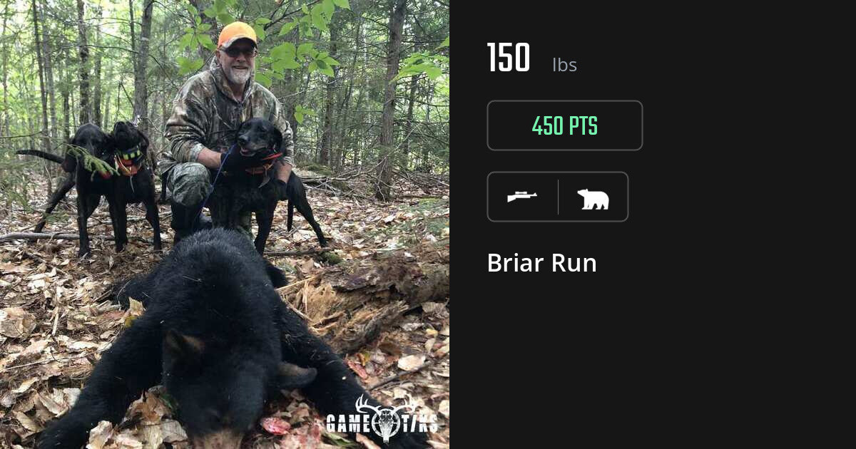 Bear harvest on Gametiks