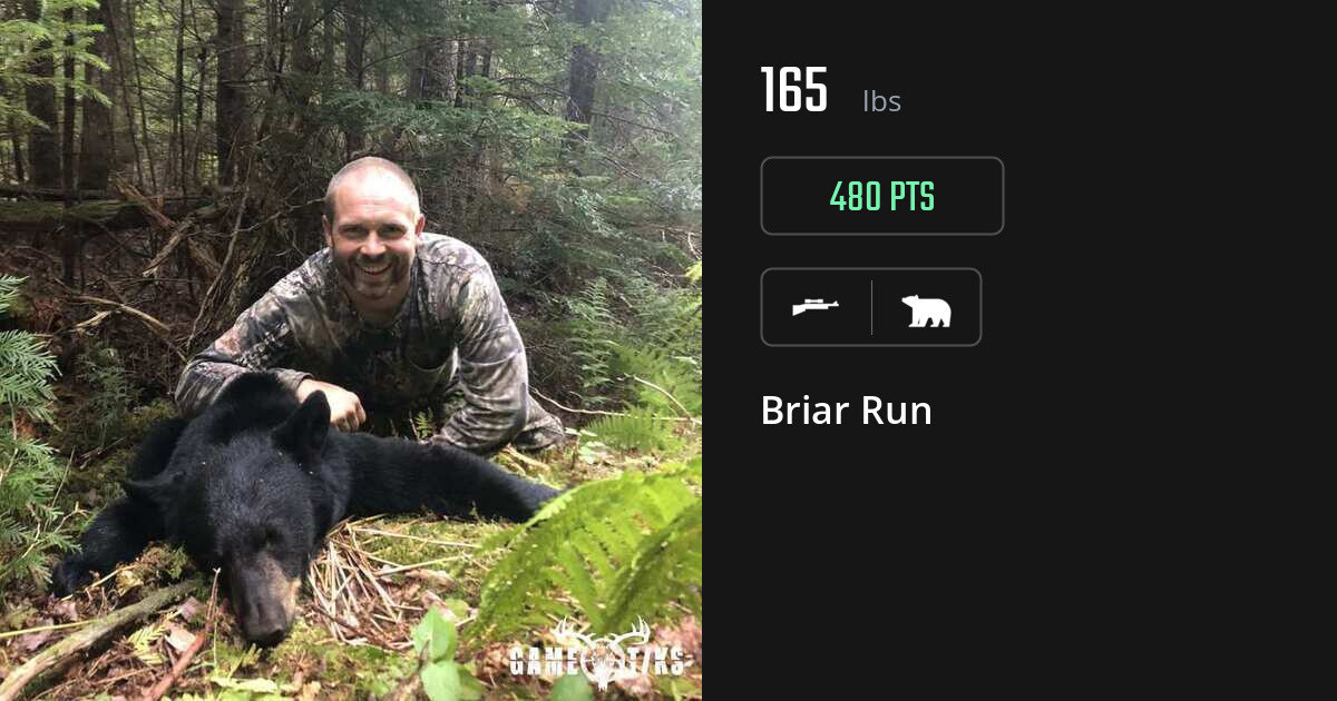 Bear harvest on Gametiks