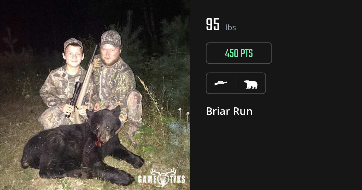 Bear harvest on Gametiks
