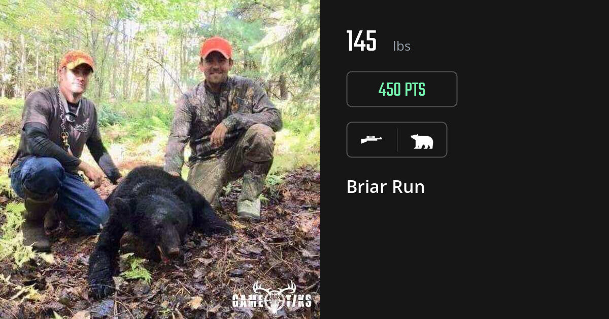 Bear harvest on Gametiks