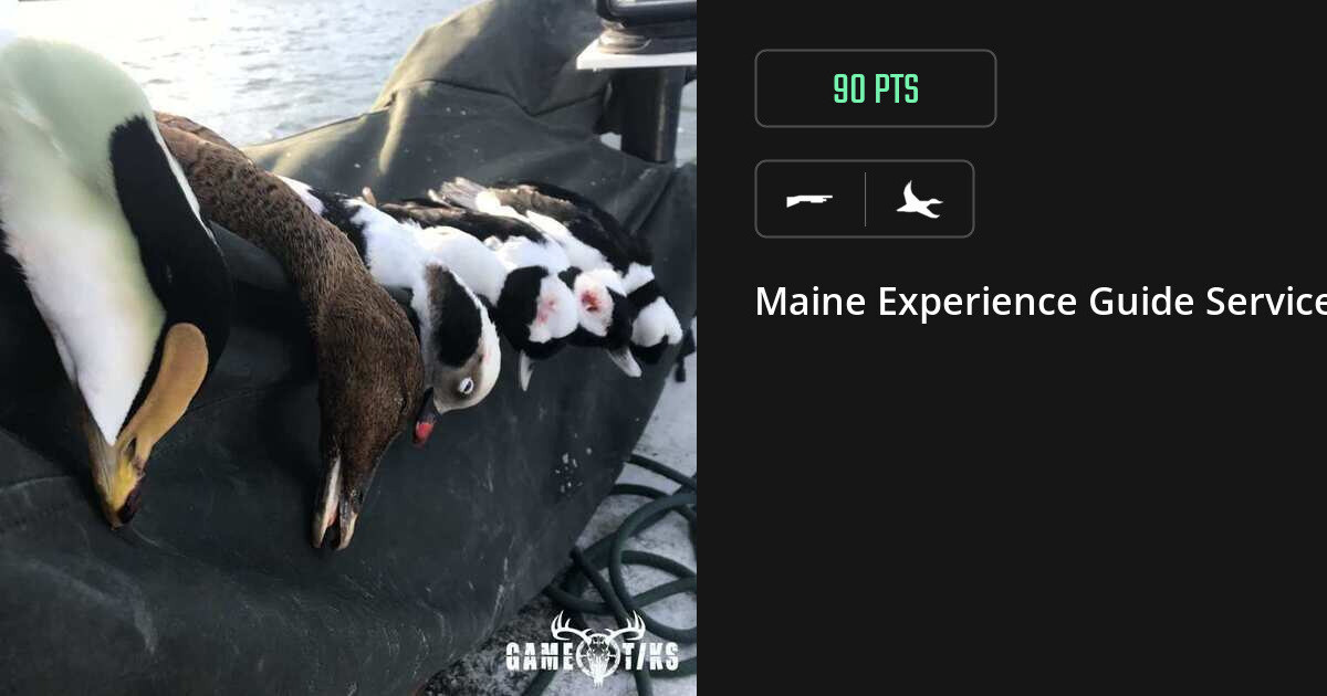 Waterfowl harvest on Gametiks