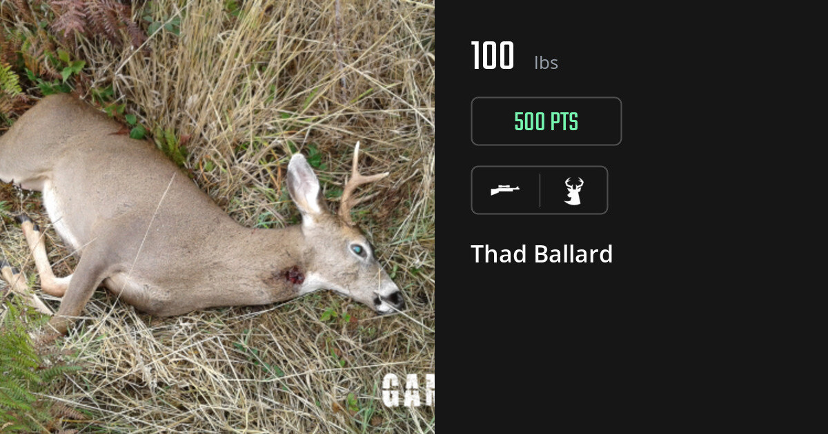 Deer harvest on Gametiks
