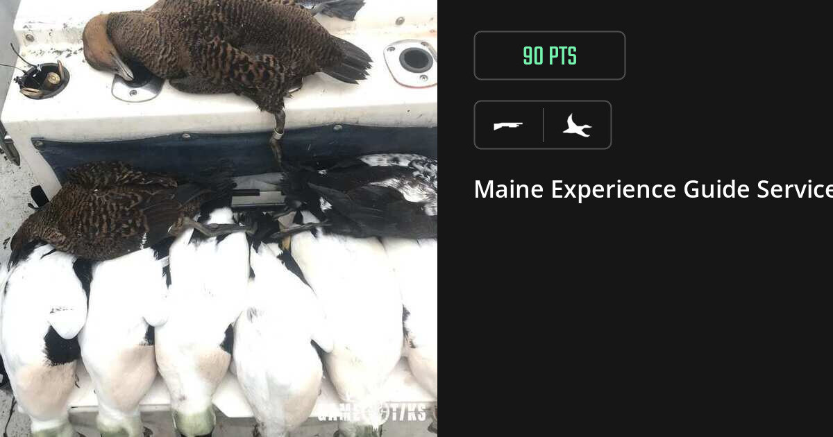 Waterfowl harvest on Gametiks