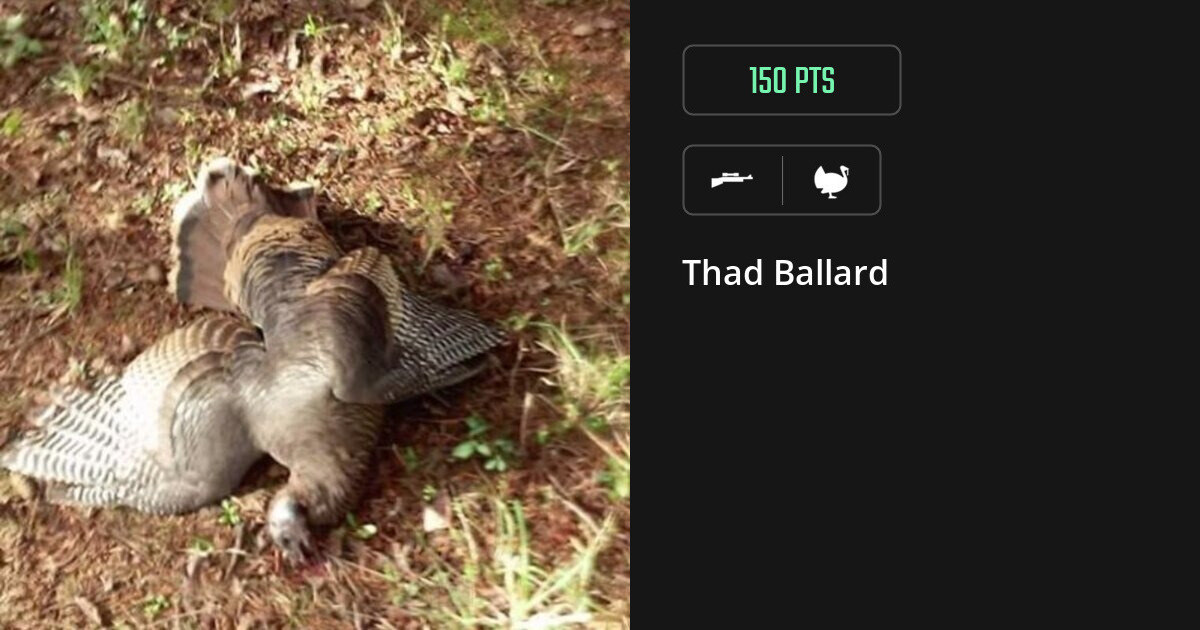 Turkey harvest on Gametiks