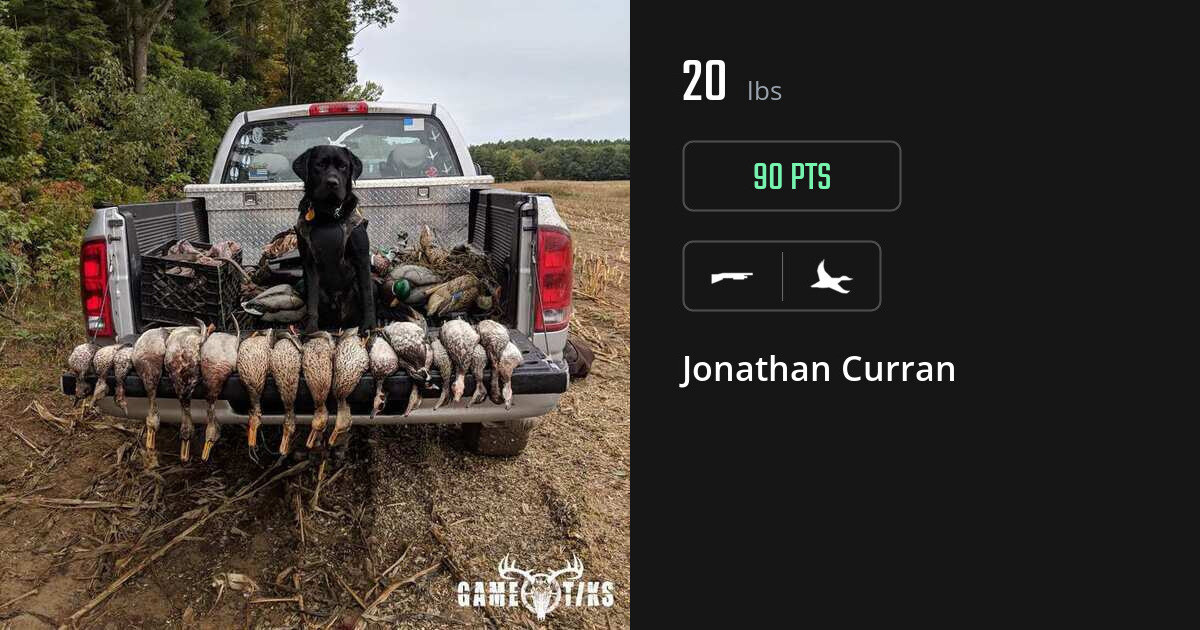 Waterfowl harvest on Gametiks