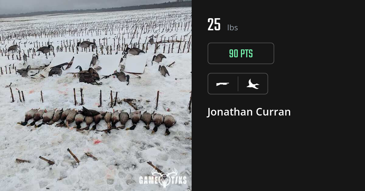 waterfowl harvest by Jonathan Curran