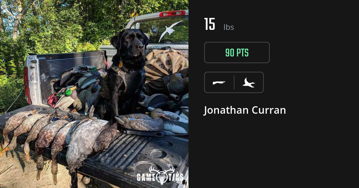 waterfowl harvest by Jonathan Curran