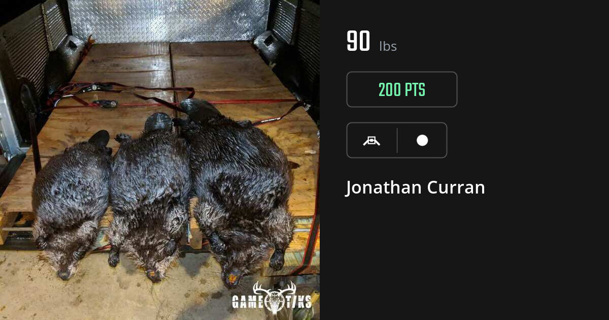miscellaneous harvest by Jonathan Curran