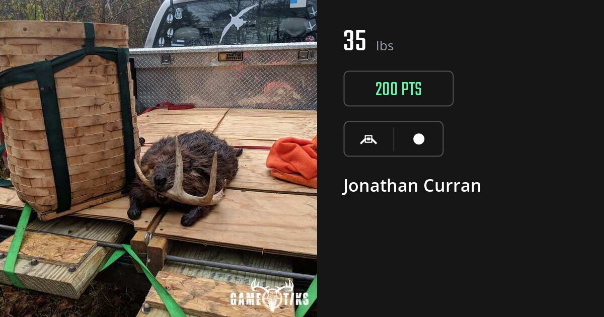 miscellaneous harvest by Jonathan Curran