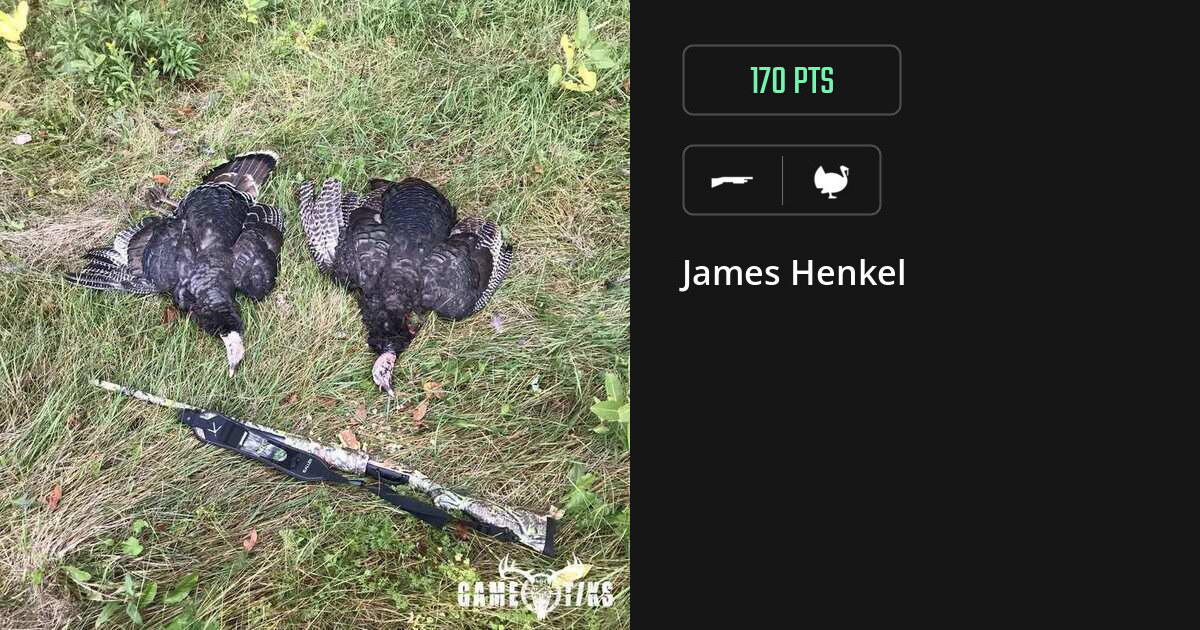 Turkey harvest on Gametiks