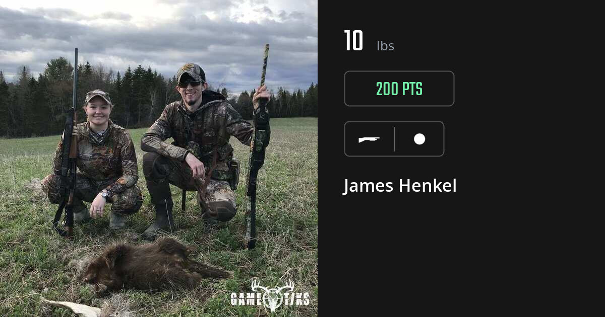 miscellaneous harvest by James Henkel