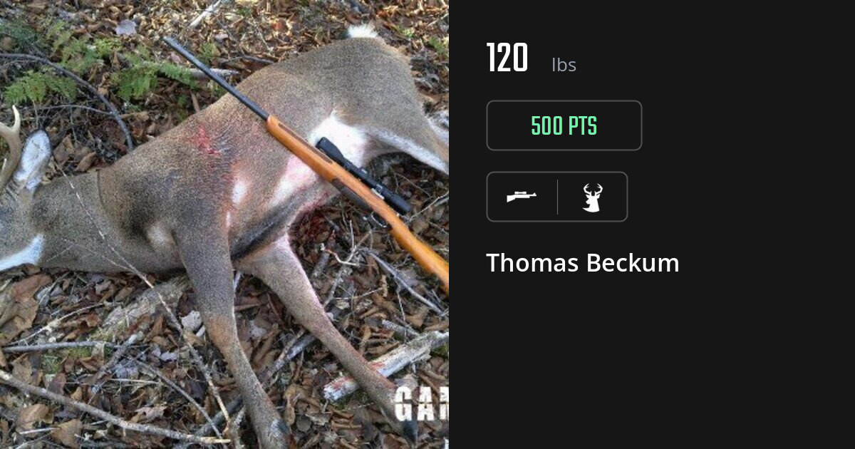 deer harvest by Thomas Beckum