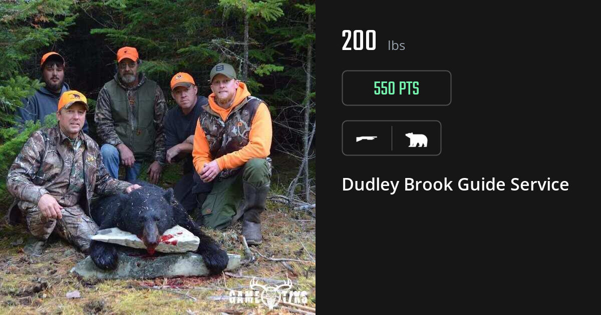 bear harvest by Dudley Brook Guide Service
