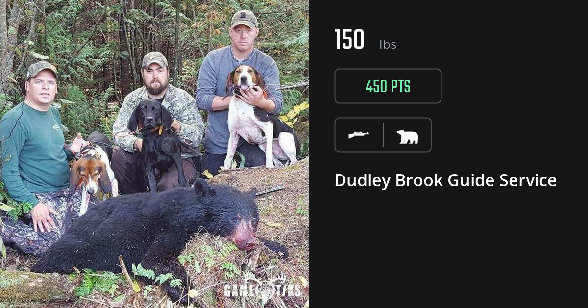 bear harvest by Dudley Brook Guide Service