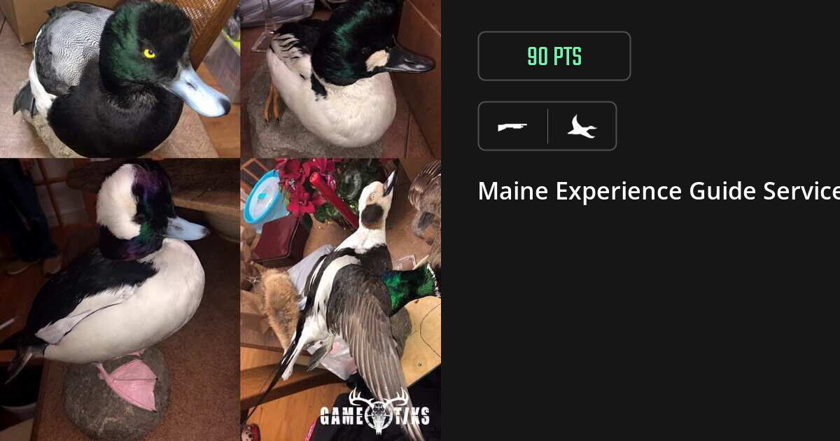 Waterfowl harvest on Gametiks
