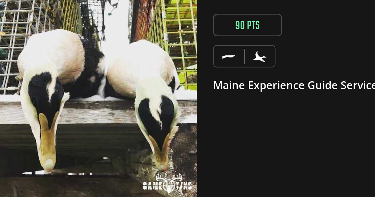 Waterfowl harvest on Gametiks