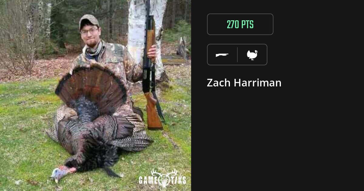 Turkey harvest on Gametiks