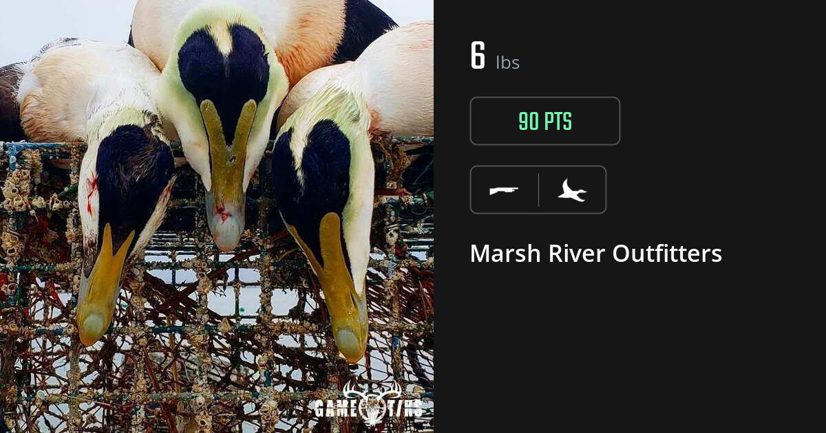 Waterfowl harvest on Gametiks
