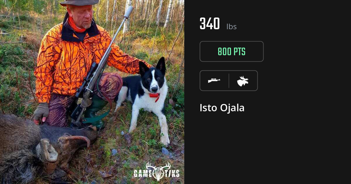 Moose harvest on Gametiks
