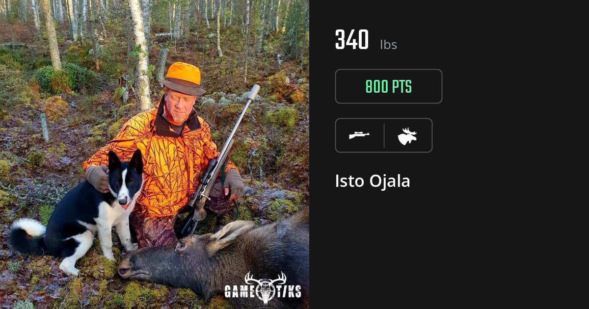 Moose harvest on Gametiks