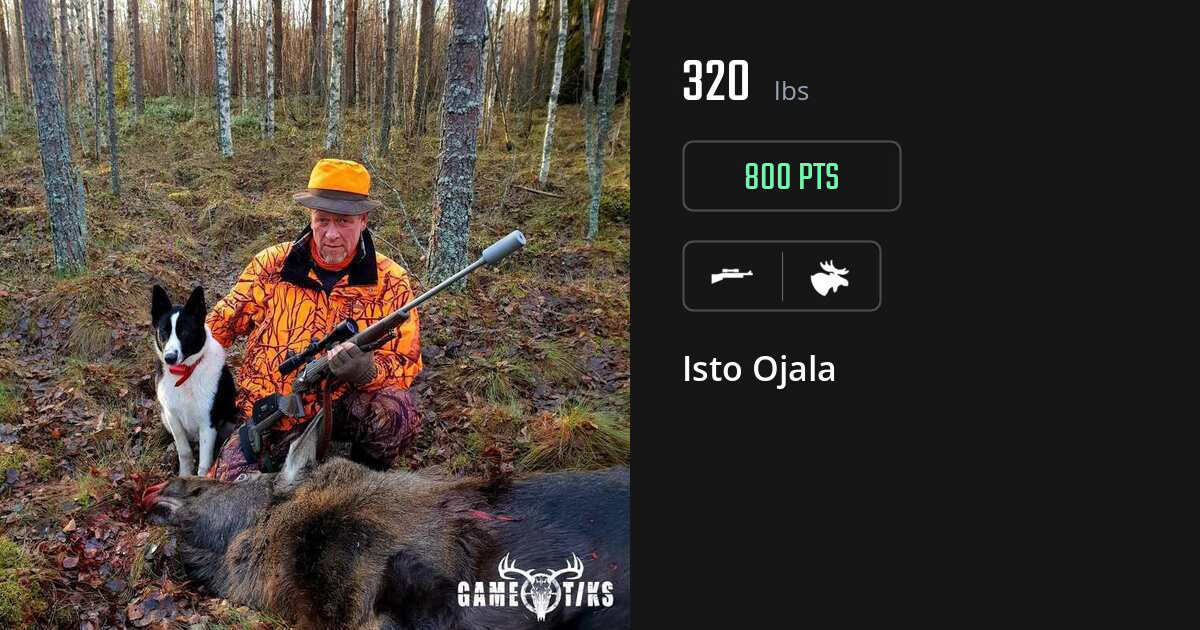 Moose harvest on Gametiks