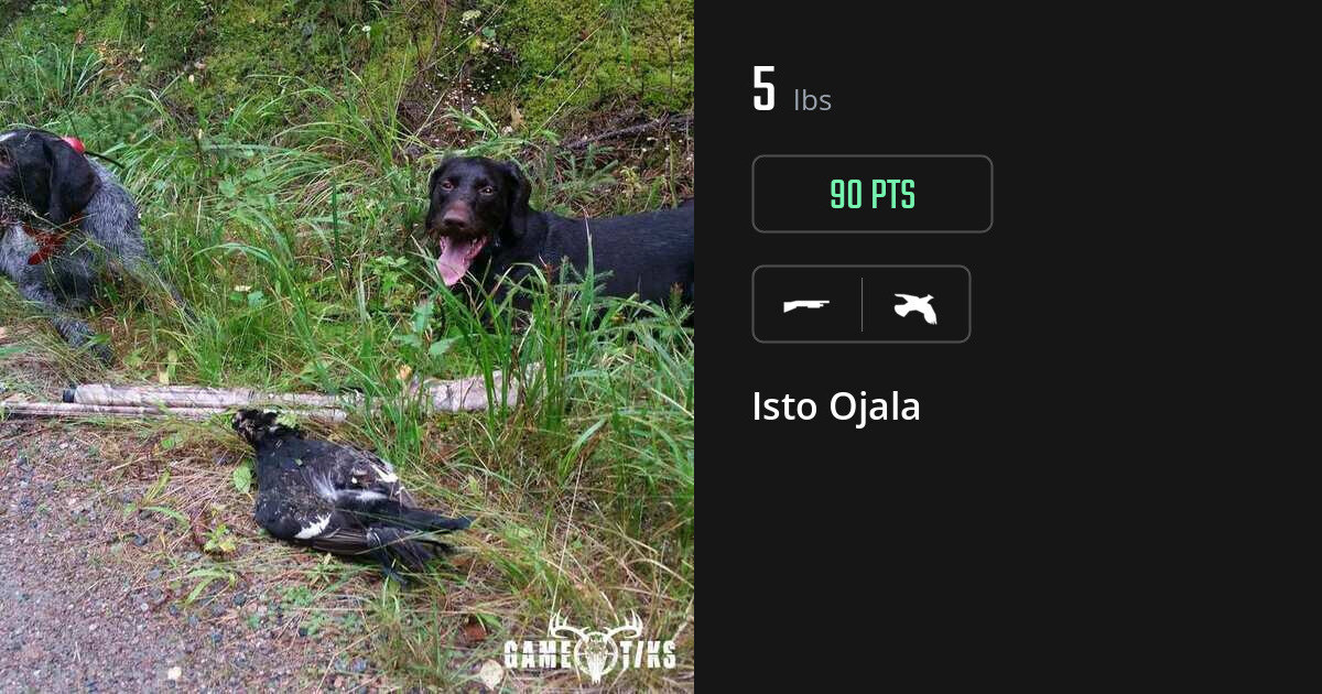 Upland bird harvest on Gametiks