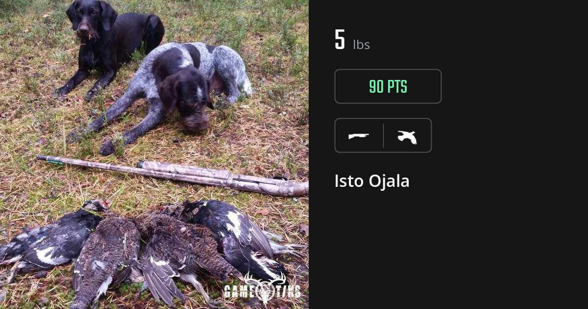 Upland bird harvest on Gametiks