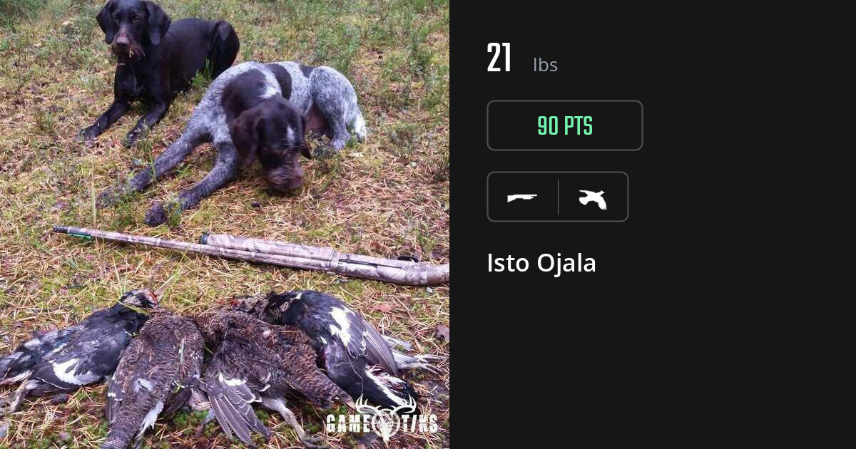 Upland bird harvest on Gametiks