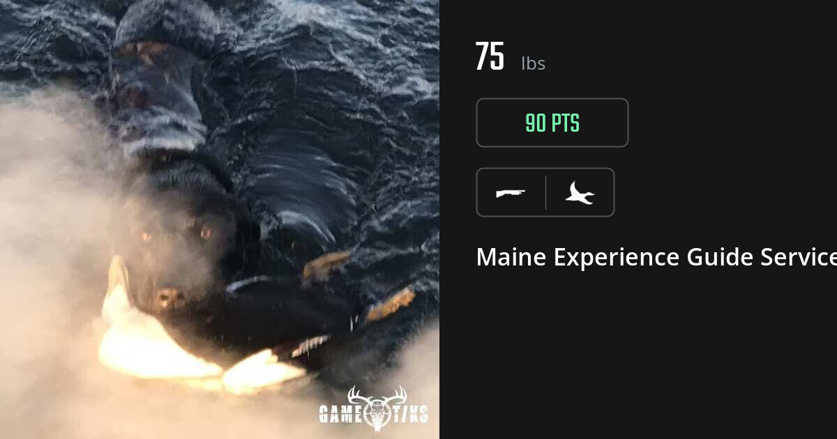 Waterfowl harvest on Gametiks