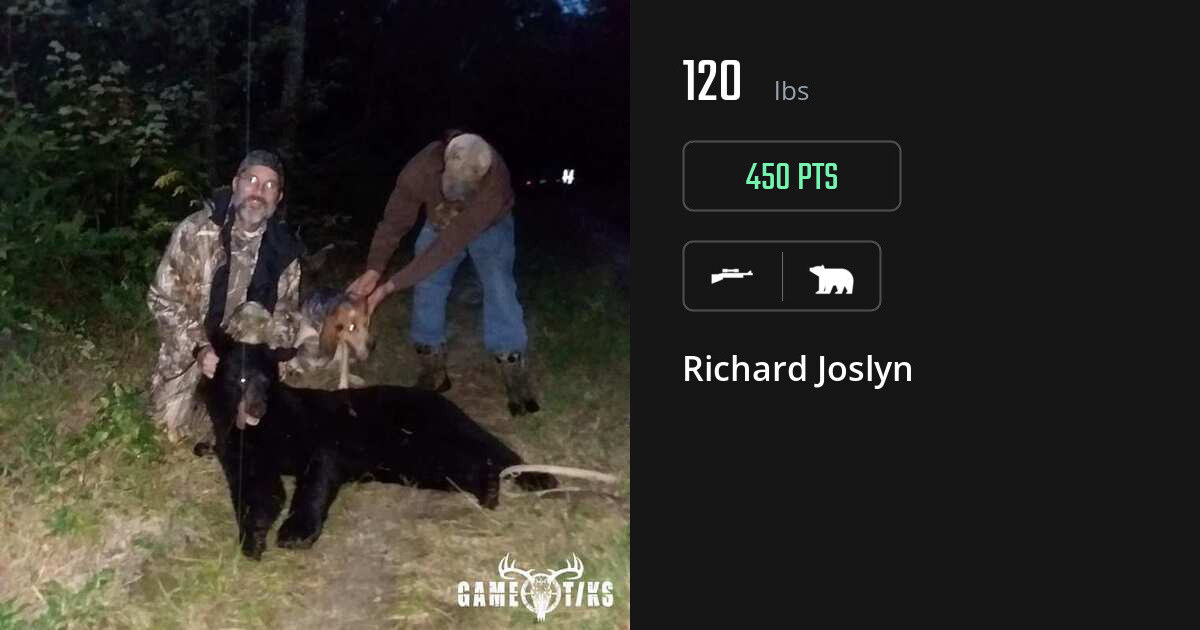 Bear harvest on Gametiks