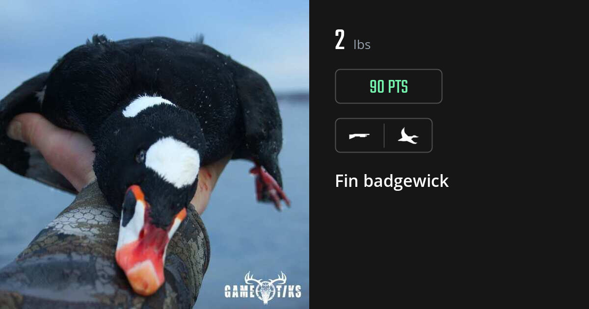 waterfowl harvest by Fin badgewick