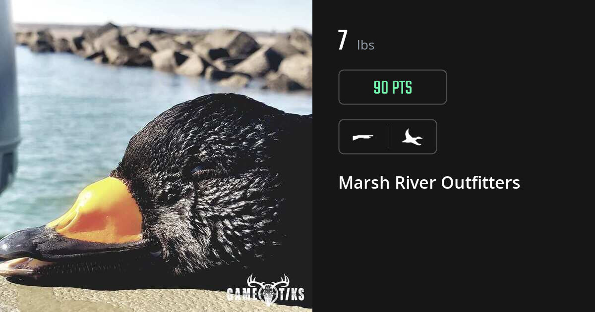 Waterfowl harvest on Gametiks