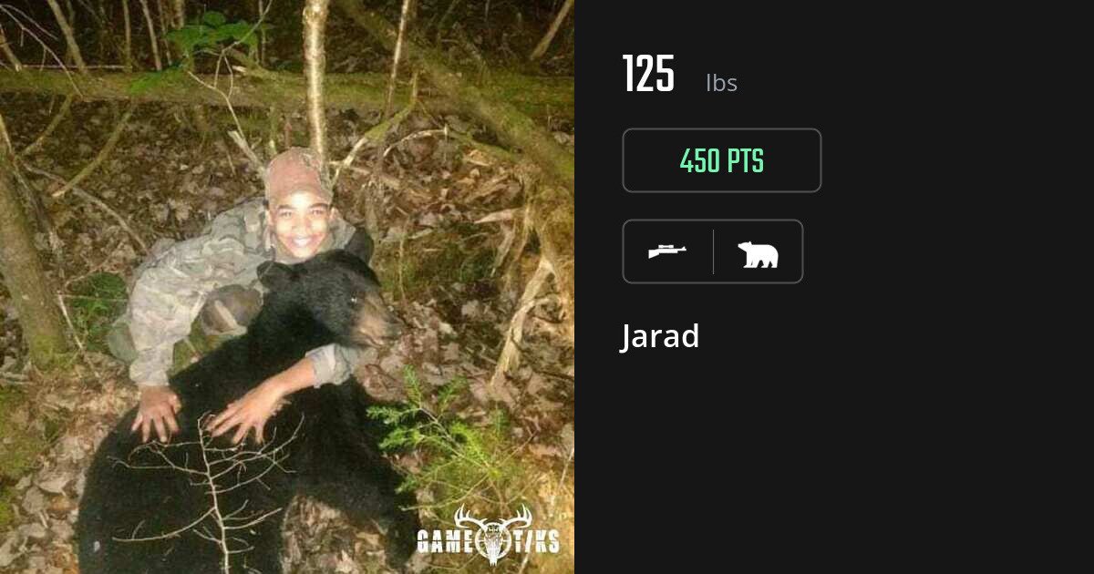bear harvest by Jarad