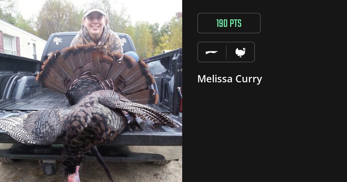 Turkey harvest on Gametiks