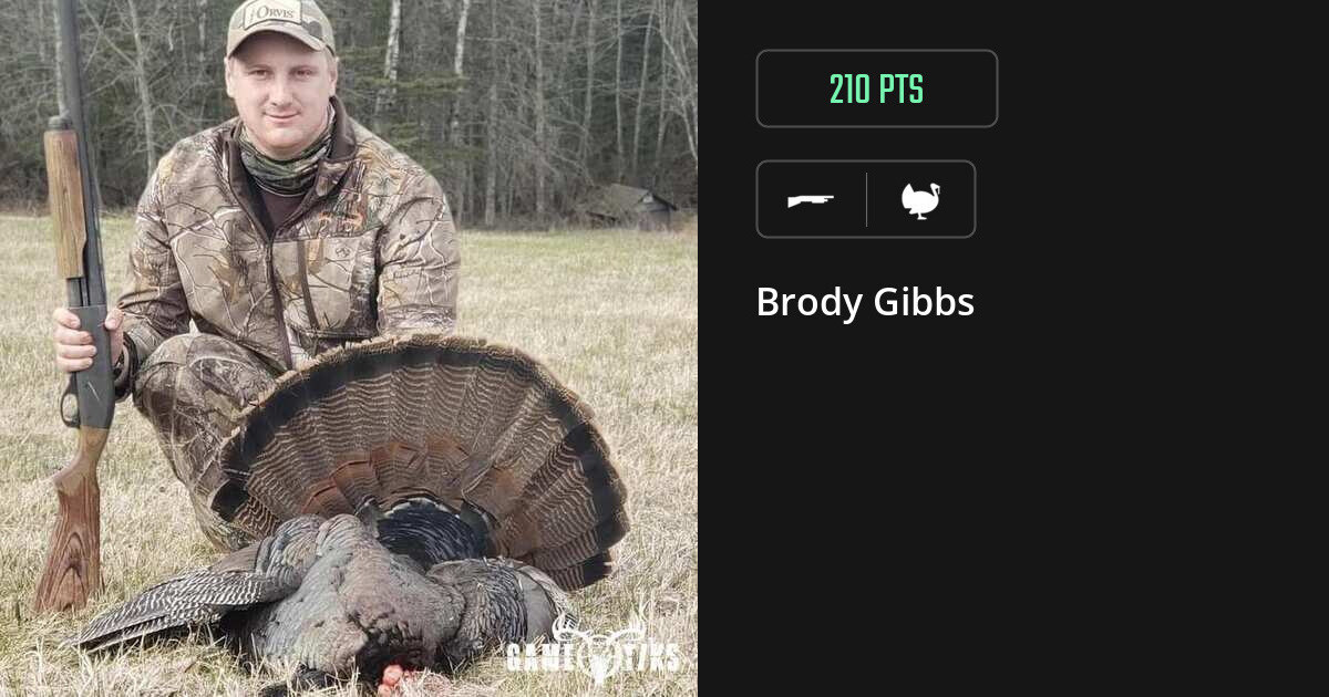 Turkey harvest on Gametiks