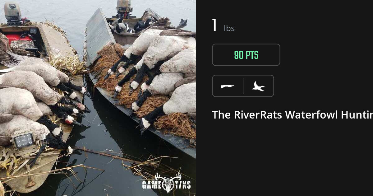 Waterfowl harvest on Gametiks