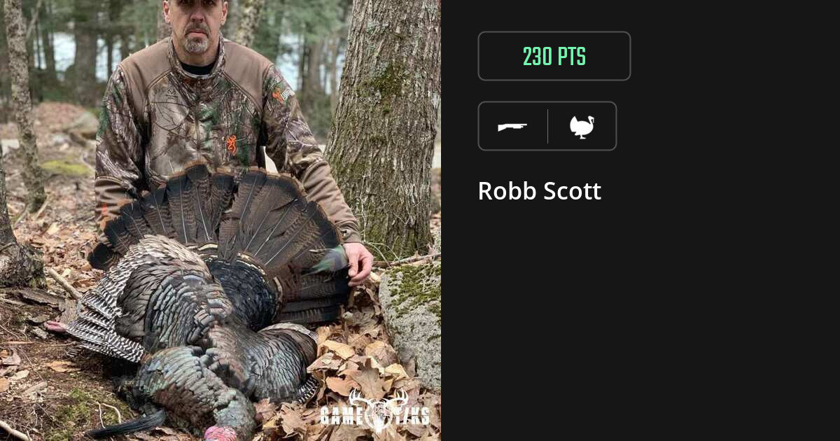 turkey harvest by Robb Scott
