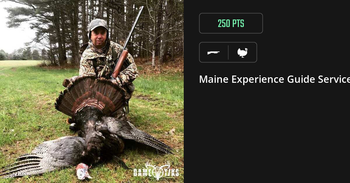 Turkey harvest on Gametiks