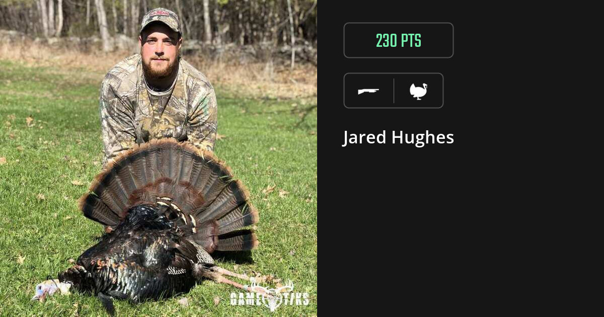 turkey harvest by Jared Hughes